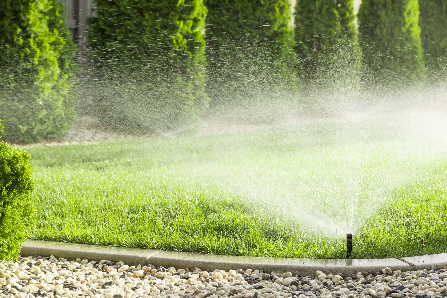Custom Irrigation Installation in Houston