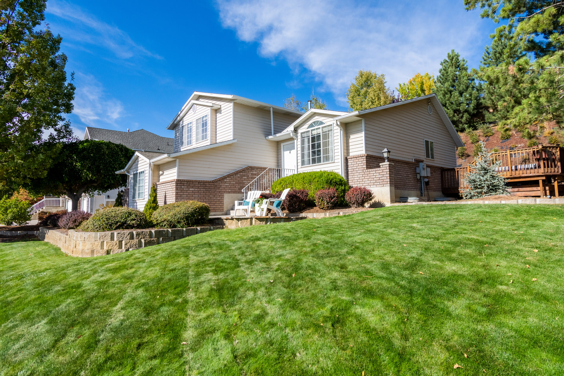 The lawn, perfected.