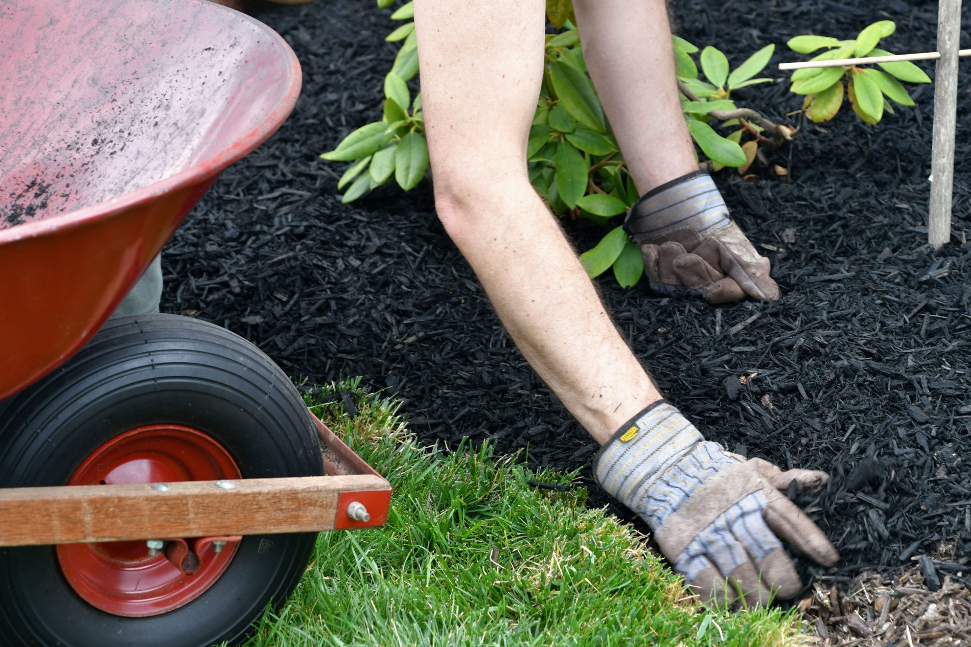 Professional Mulch Installation in Houston