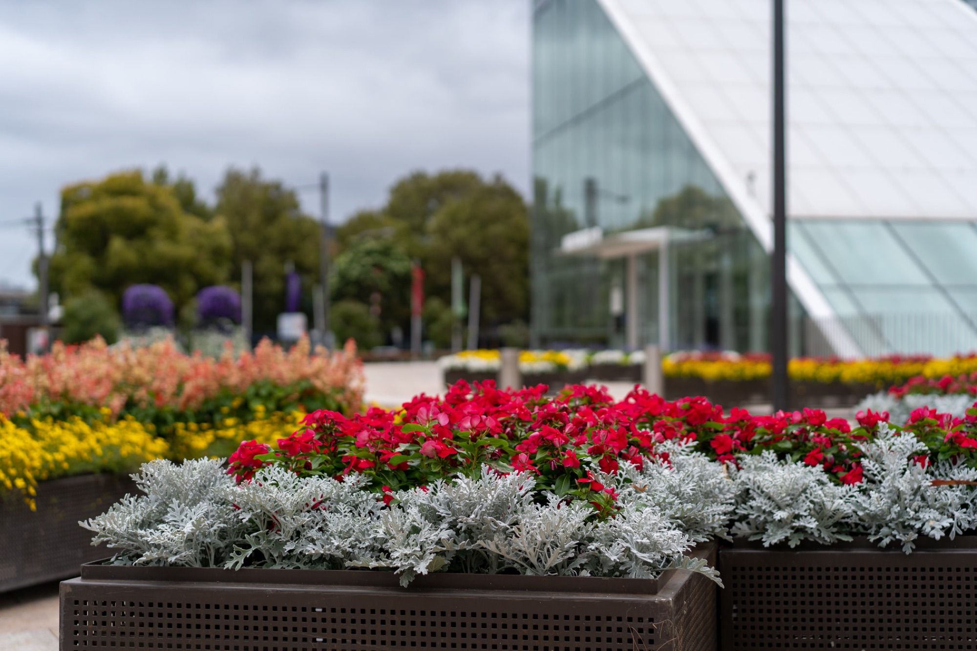 Commercial grounds