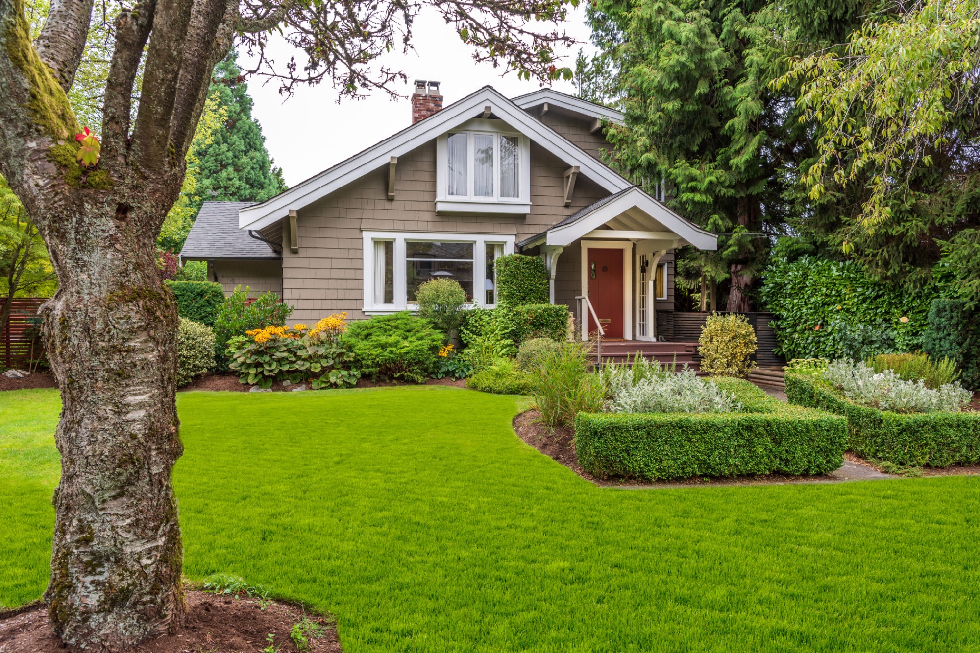 Professional Fall Leaf Cleanup in Houston