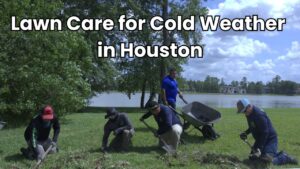 lawn care houston